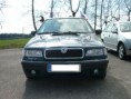 /album/a1-sraz-skoda-teamu-16-4-2011-suchy/p1010640d-jpg/